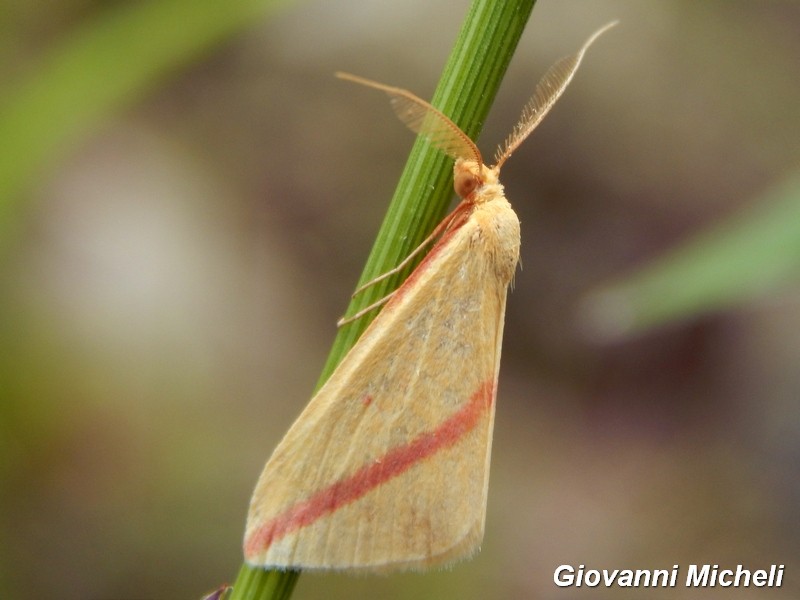 Parco del Ticino 17-10-15